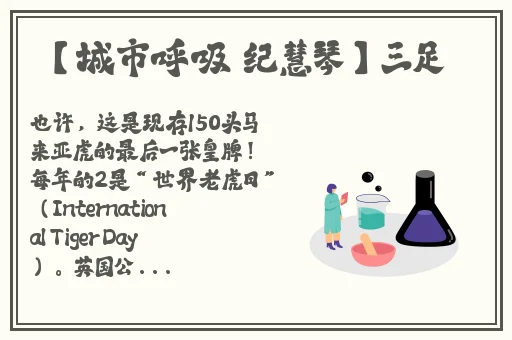 91一区二区国产精华液的功能